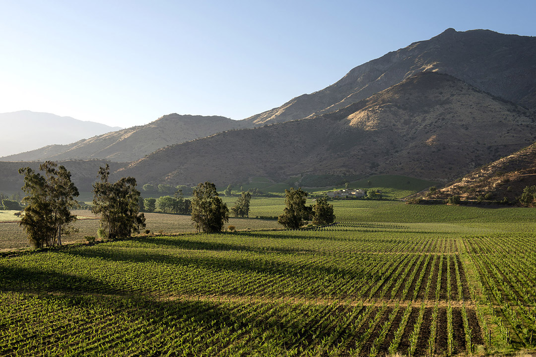 maipo_valley_chile_vina_haras_de_pique_credit_alan_warren_1080x720