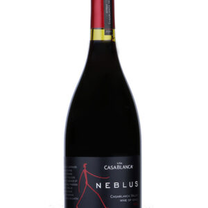 Casablanca Neblus Syrah