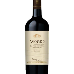 Mapu Tierra Sagrada Carignan Vigno