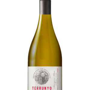 Terrunyo Los Boldos Vineyard Sauvignon Blanc